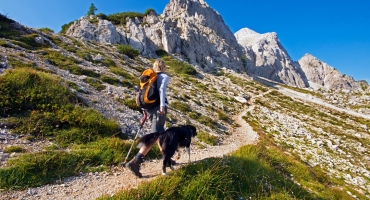 dogtrekking-strecke